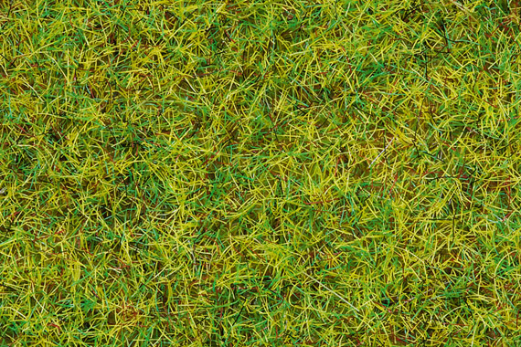 50190 NOCH Имитатор травяного покрова "Летний луг" (волокна, высота 2,5 мм) 100гр