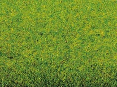 00110 NOCH Имитатор травяного покрова в рулоне "Весенний луг" (размер 100 х 75см)